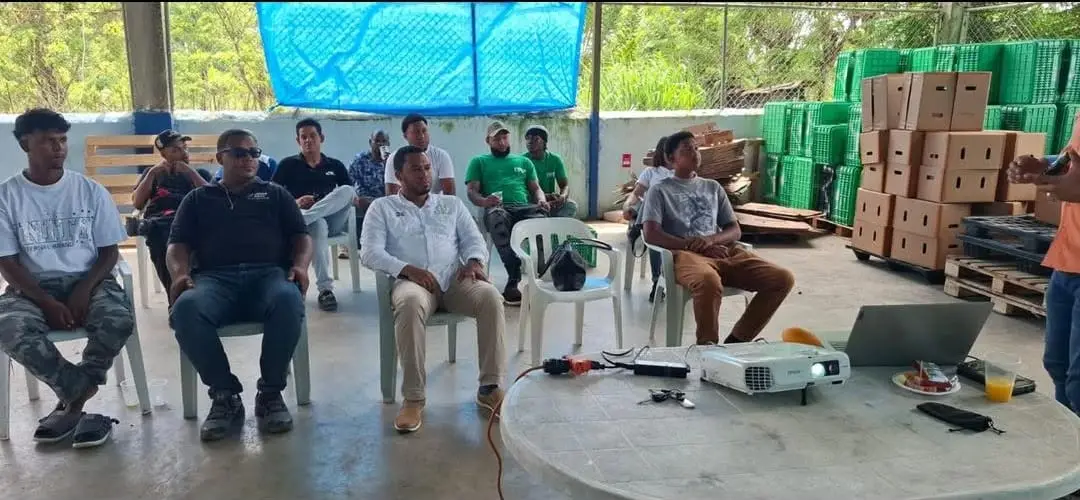 Productores sentados en sillas plásticas bajo techo siguen la capacitación de AFIPA en Sabaneta, con un proyector y cajas apiladas al fondo